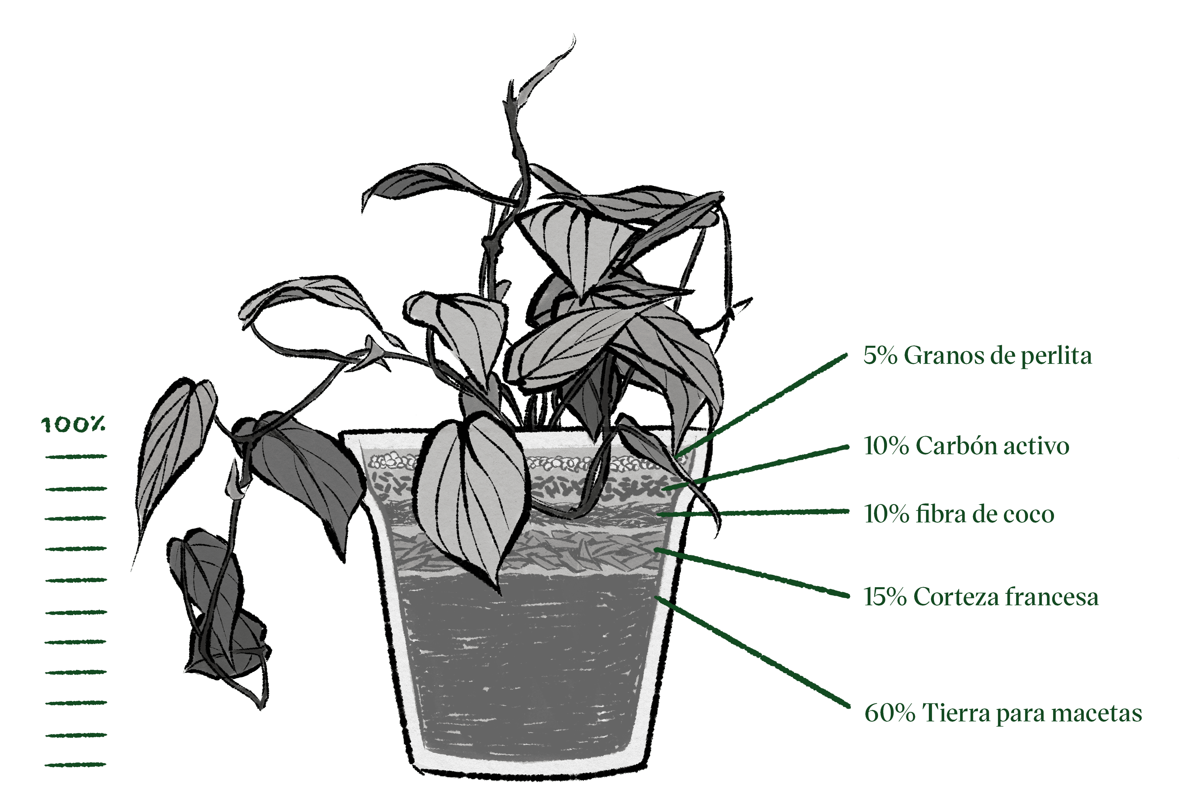 Mezcla De Tierra Para Macetas Hoya - 2 Litros, Especial Para Plantas De Interior/Exterior, Con Nutrientes